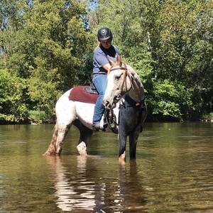 Meet your Posher, Drew christine